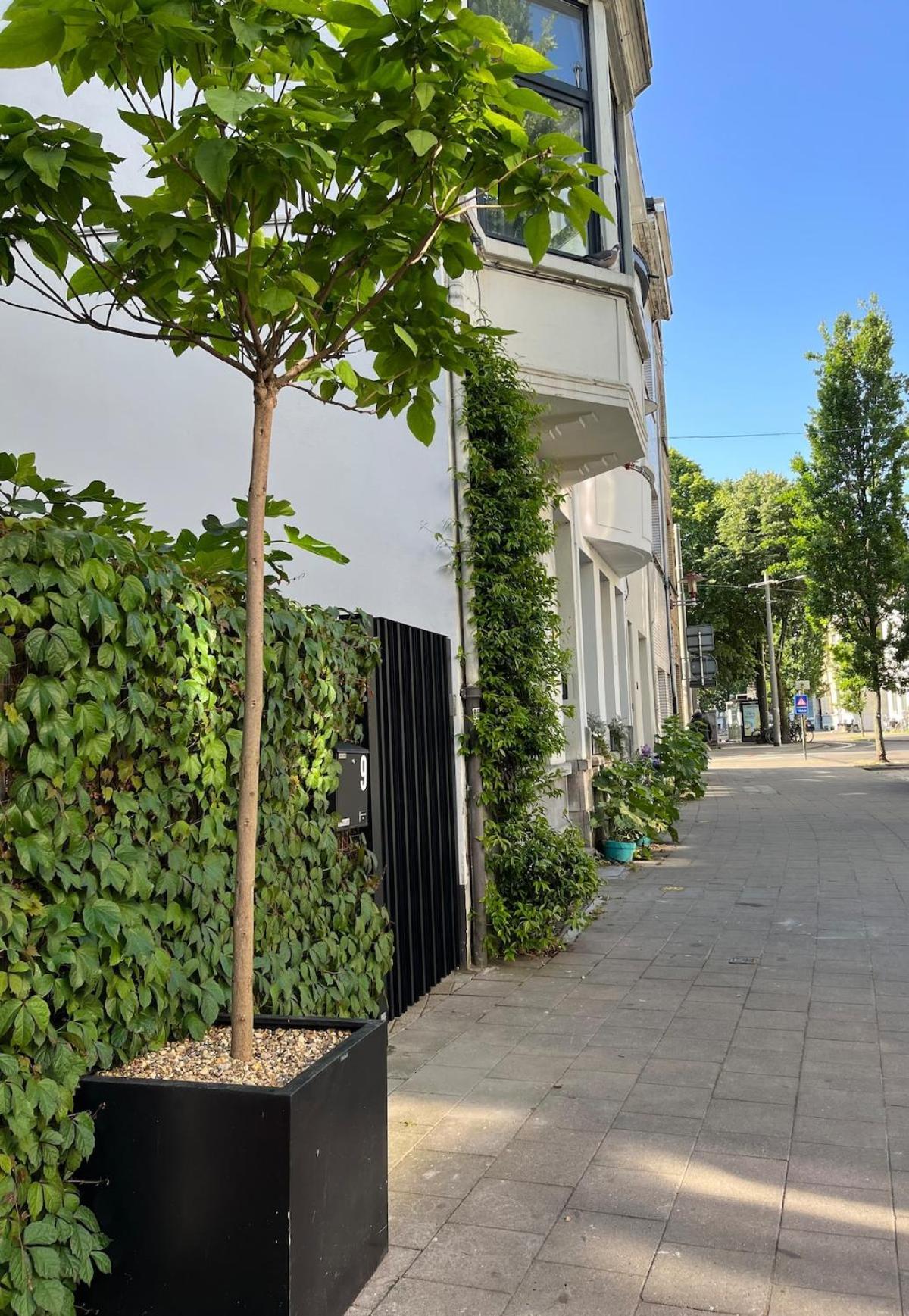 Charming House With Patio Near The Station Vakantiehuis Antwerpen
