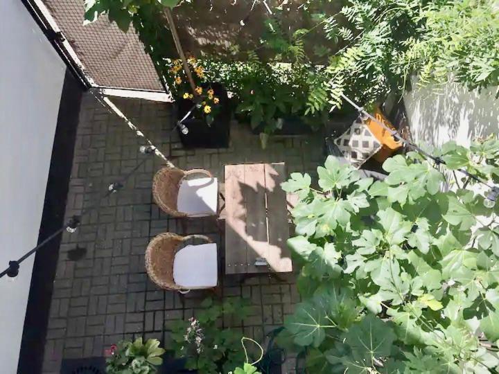 Charming House With Patio Near The Station Antwerpen