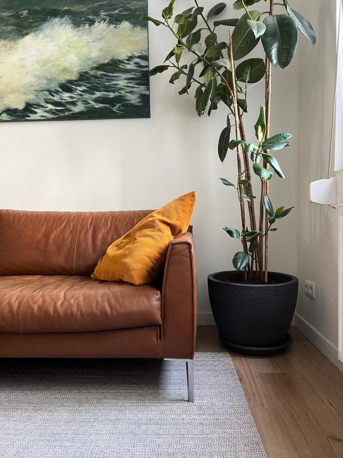 Charming House With Patio Near The Station Vakantiehuis Antwerpen